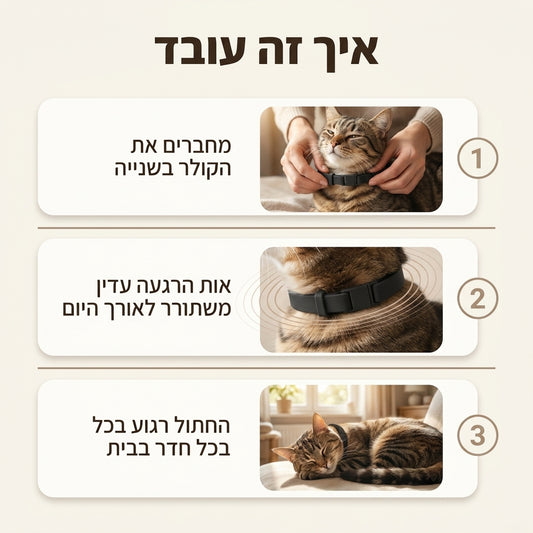 קולר הרגעה עם פרומונים לחתול