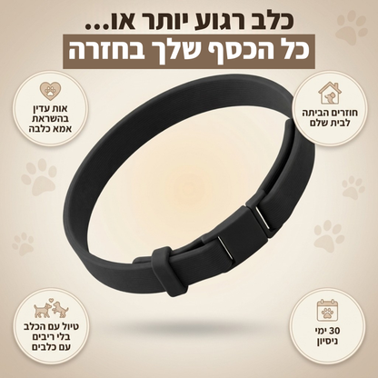 קולר הרגעה עם פרומונים לכלב