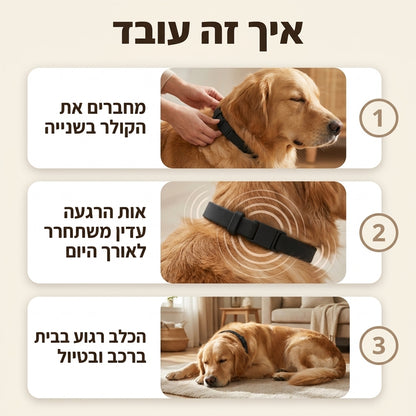 קולר הרגעה עם פרומונים לכלב