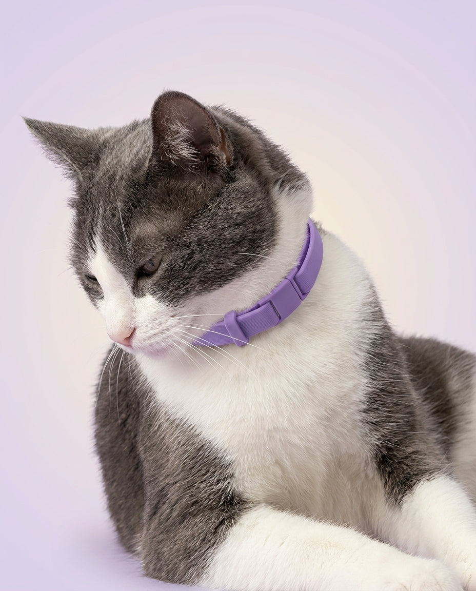collar-stress-portrait