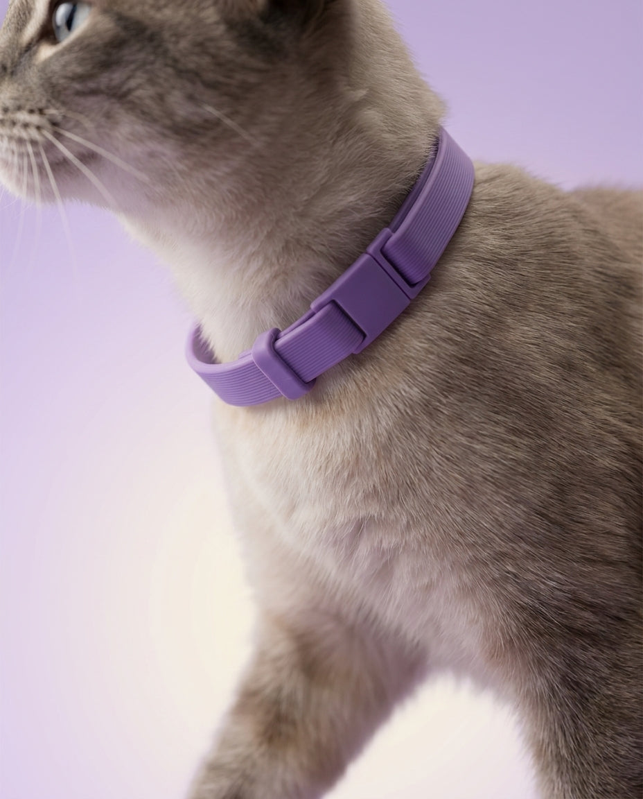 collar-travels-comfort