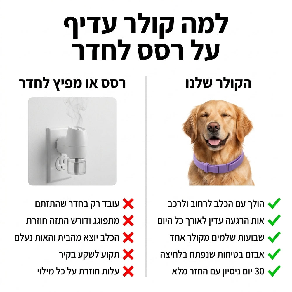 dogcollar-vs