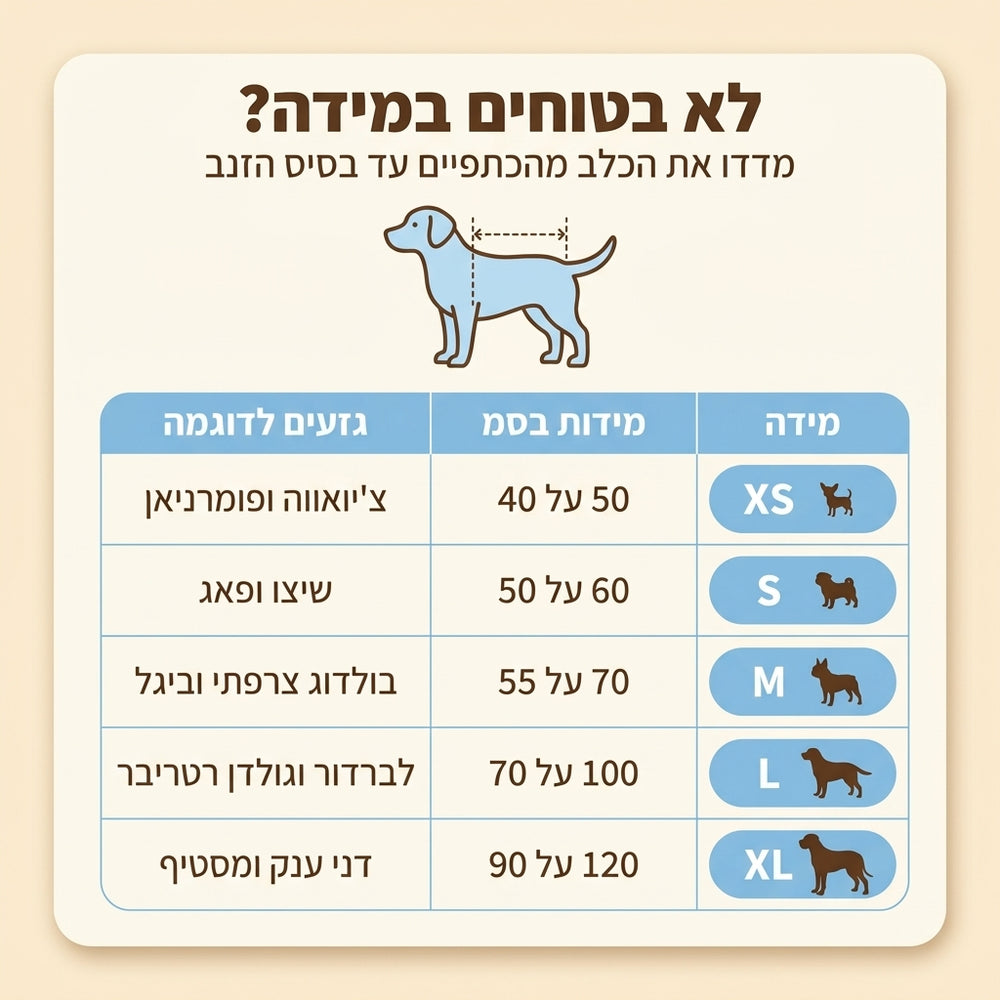 מדריך מידות